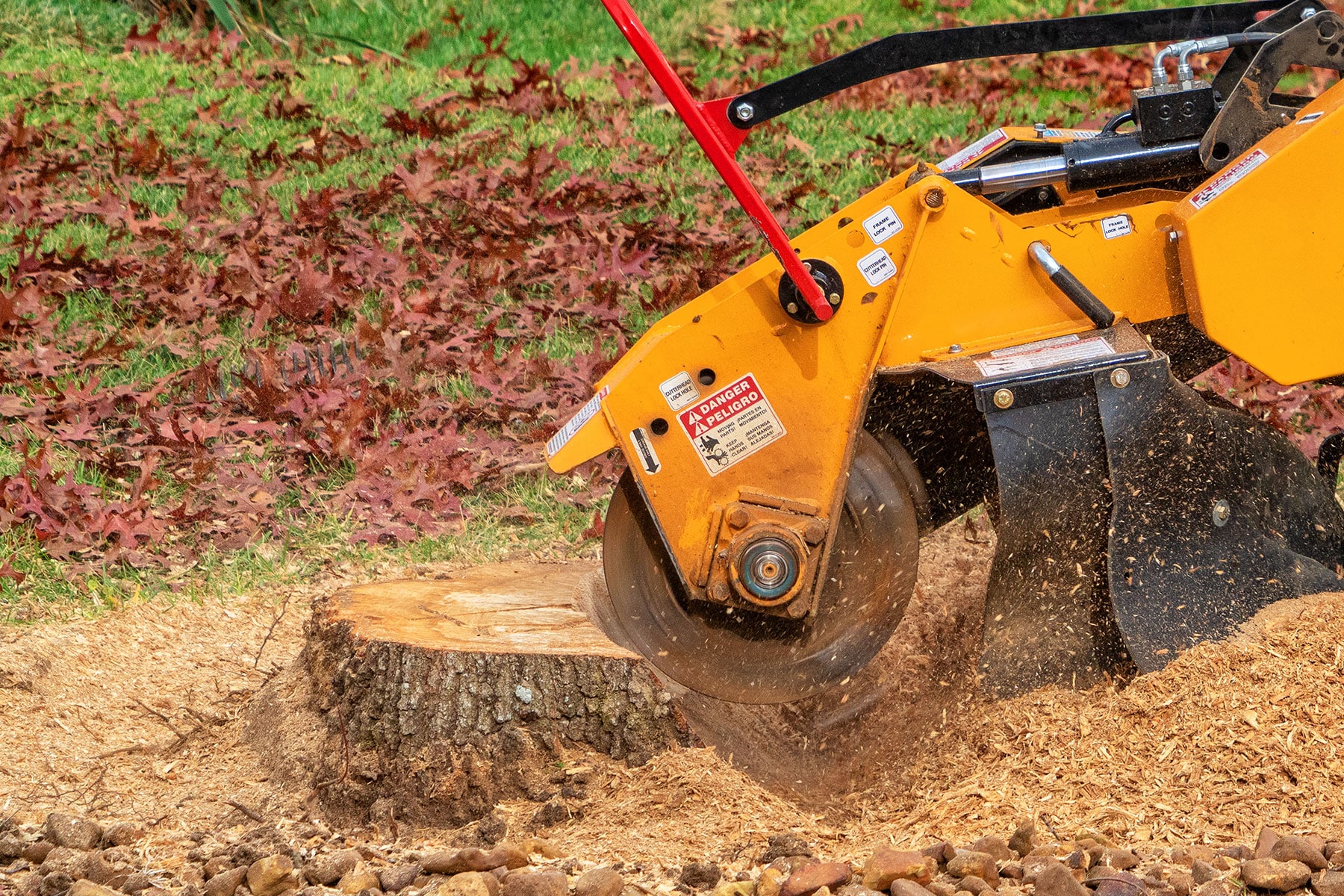 Stump Grinding Removal